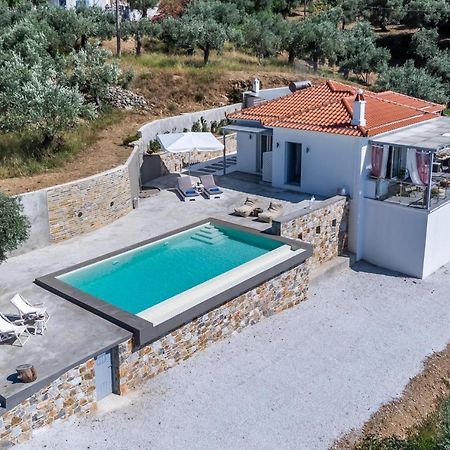 Ninemia Villa In Skopelos Exteriör bild